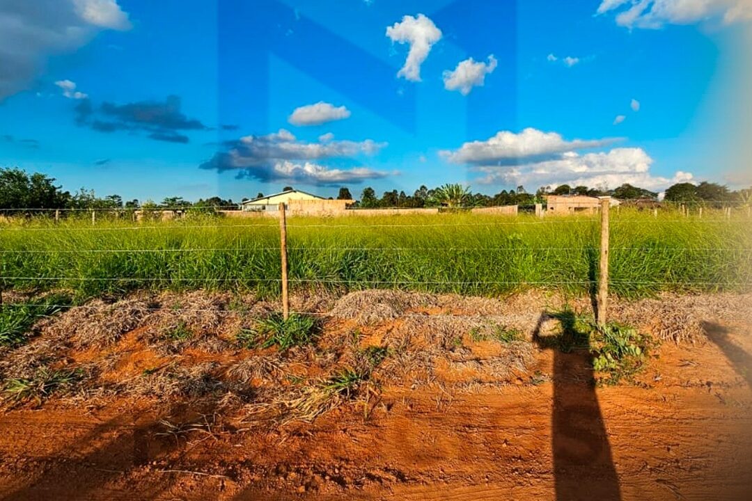 87cdf55f-bca0-498d-a97f-f4654624cc53