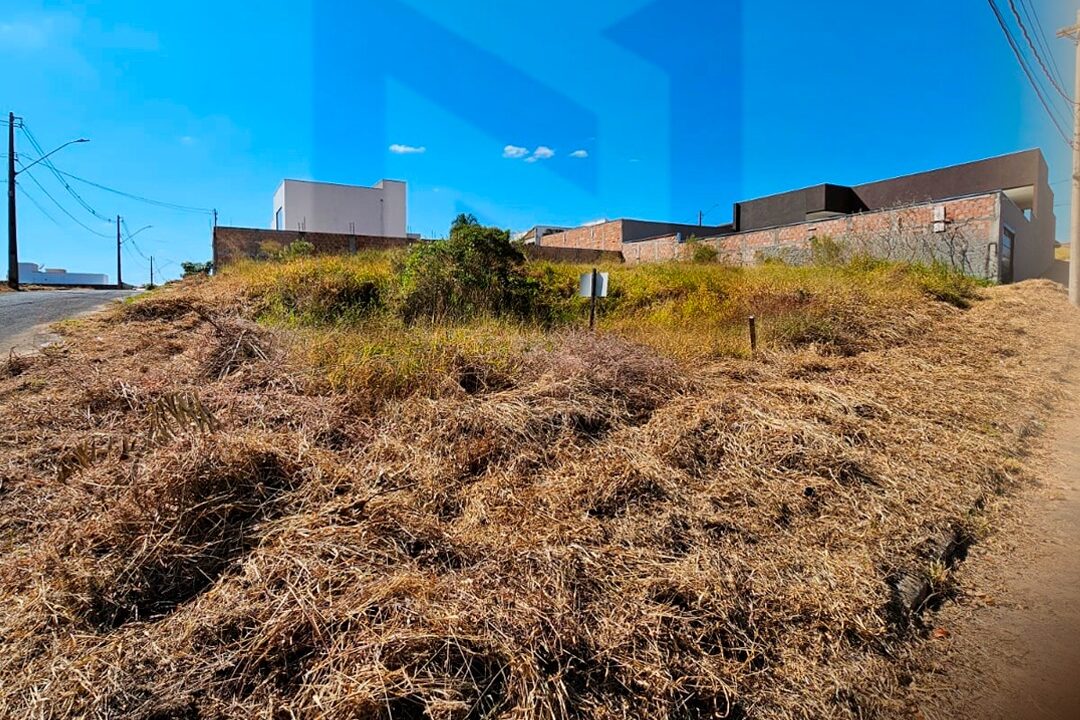 b6b3b275-3f32-4335-97b3-8f6bdb96a68c