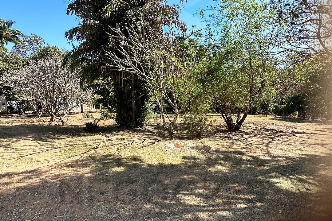 2d95617d-8cb6-403b-8677-b1e43938e138